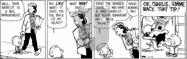 Calvin and Hobbes - Wednesday November 16, 2022 Comic Strip