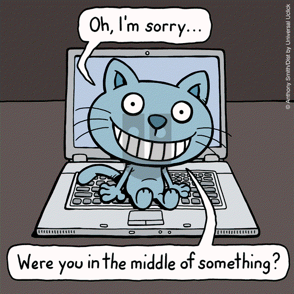 Cattitude — Doggonit - Tuesday November 28, 2023 Comic Strip
