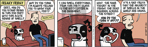 Pooch Cafe on Monday May 20, 2019 Comic Strip