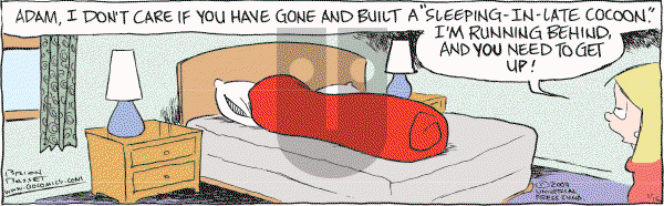 Adam@Home on Friday January 16, 2009 Comic Strip