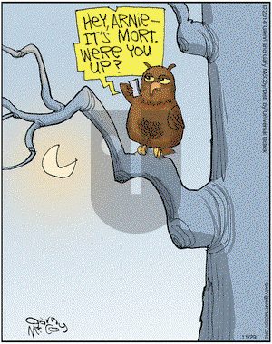 The Flying McCoys on Saturday November 29, 2014 Comic Strip