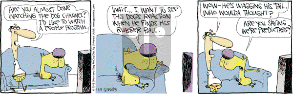 The Duplex on Wednesday November 9, 2016 Comic Strip