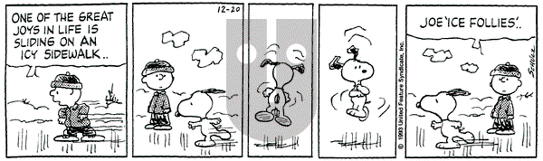 Peanuts on Monday December 20, 1993 Comic Strip