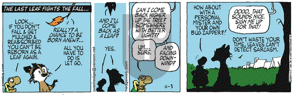 Over the Hedge on Friday November 3, 2006 Comic Strip