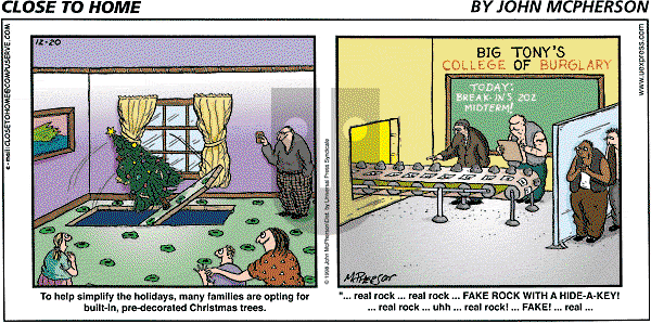 Close to Home - Sunday December 20, 1998 Comic Strip