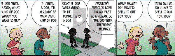 Frazz on Wednesday August 26, 2020 Comic Strip