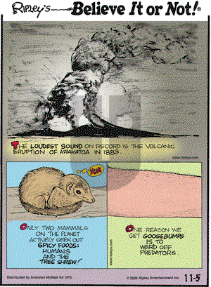 Ripley's Believe It or Not on Thursday November 5, 2020 Comic Strip