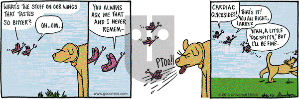 Overboard on Thursday April 11, 2013 Comic Strip