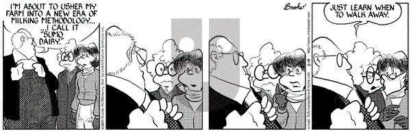 9 Chickweed Lane on Monday February 19, 2001 Comic Strip