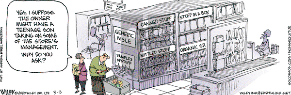 Non Sequitur on Tuesday March 3, 2020 Comic Strip