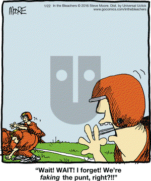 In the Bleachers on Friday January 22, 2016 Comic Strip