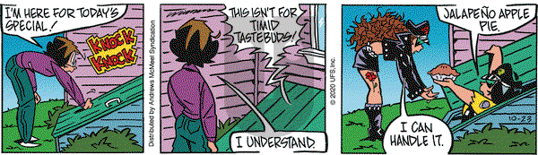 Rose is Rose on Friday October 23, 2020 Comic Strip