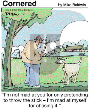 Cornered on Saturday January 25, 2020 Comic Strip