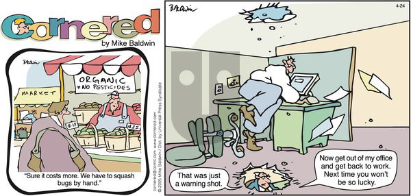 Cornered on Sunday April 24, 2005 Comic Strip