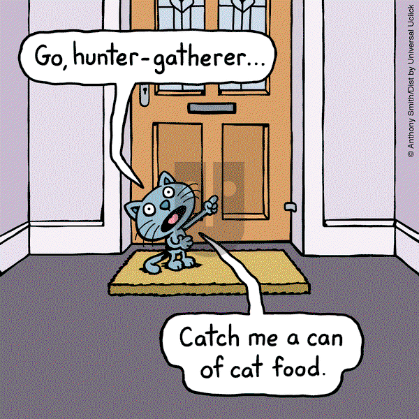 Cattitude — Doggonit on Friday February 28, 2025 Comic Strip