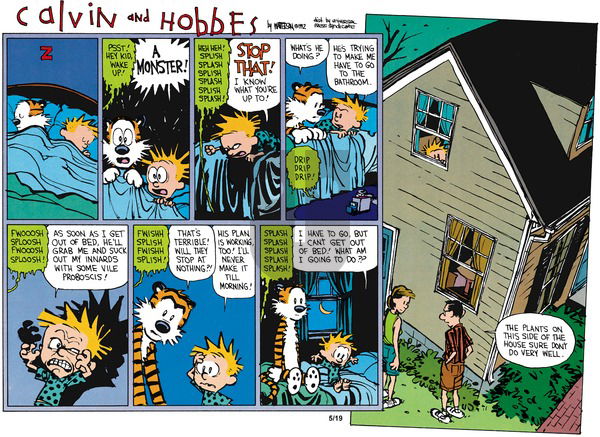Calvin and Hobbes on Sunday July 5, 1992 Comic Strip