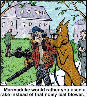 Marmaduke on Wednesday April 9, 2025 Comic Strip
