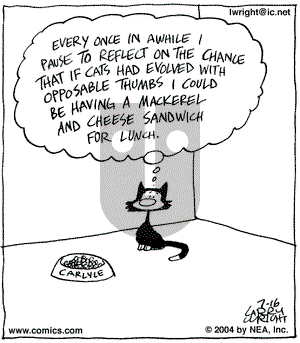 Kit 'N' Carlyle on Friday July 16, 2004 Comic Strip
