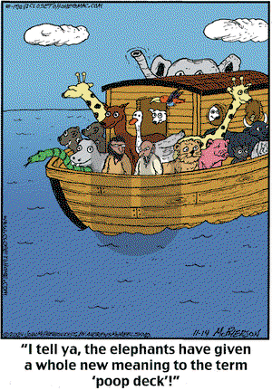 Close to Home on Thursday November 14, 2024 Comic Strip