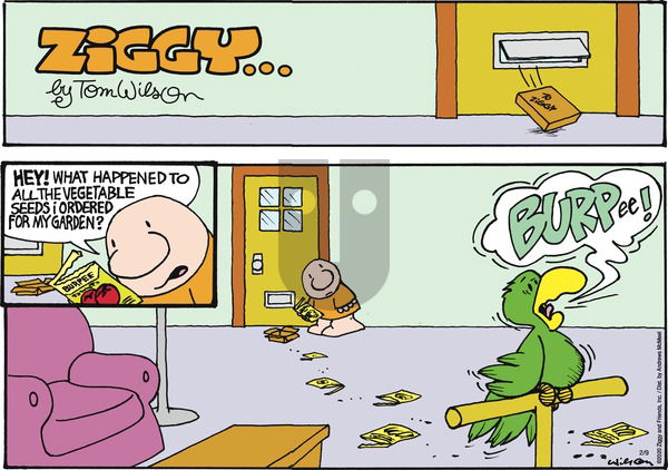 Ziggy on Sunday February 9, 2020 Comic Strip