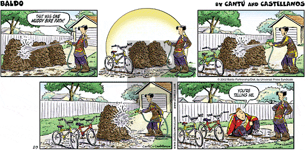 Baldo - Sunday February 3, 2002 Comic Strip