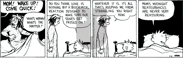 Calvin and Hobbes - Friday March 12, 1993 Comic Strip