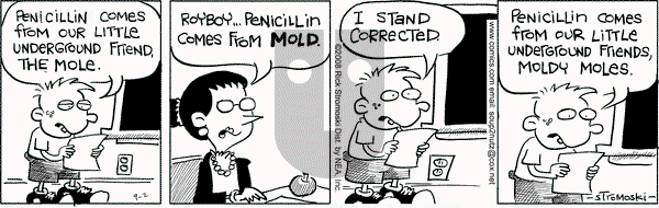 Soup to Nutz - Old on Tuesday September 2, 2008 Comic Strip