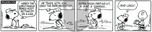 Peanuts on Wednesday May 15, 1974 Comic Strip