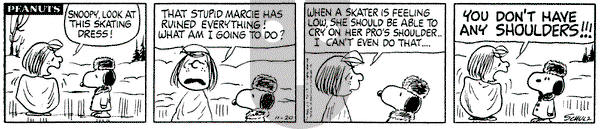 Peanuts on Wednesday November 20, 1974 Comic Strip
