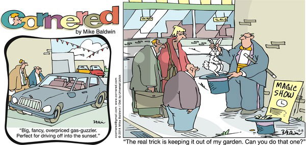 Cornered on Sunday June 8, 2014 Comic Strip