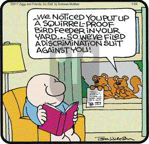 Ziggy on Wednesday January 25, 2017 Comic Strip