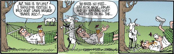 Monty on Saturday July 8, 2017 Comic Strip
