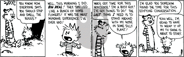 Calvin and Hobbes - Thursday May 2, 1991 Comic Strip