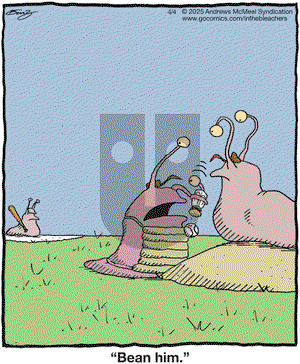 In the Bleachers on Friday April 4, 2025 Comic Strip