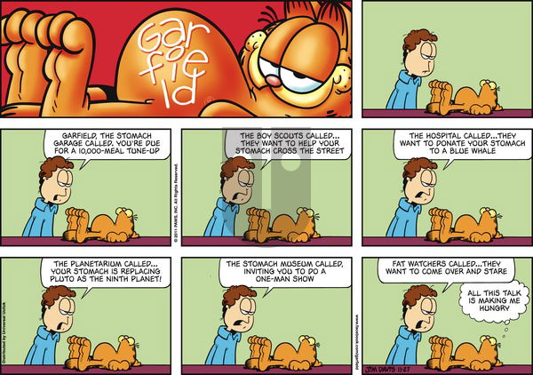 Garfield on Sunday November 27, 2011 Comic Strip
