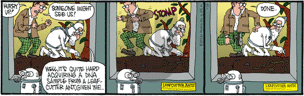 Monty on Saturday December 11, 2010 Comic Strip