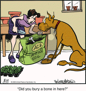 Marmaduke on Saturday September 5, 2009 Comic Strip