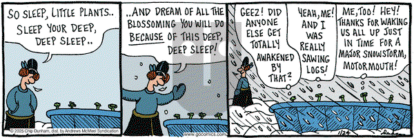 Overboard - Friday January 24, 2025 Comic Strip