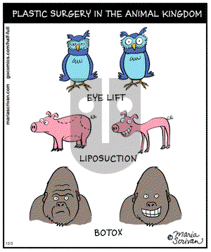 Half Full on Tuesday December 3, 2013 Comic Strip