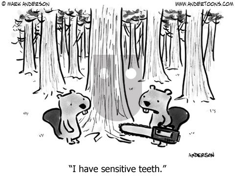 Andertoons on Saturday December 22, 2012 Comic Strip