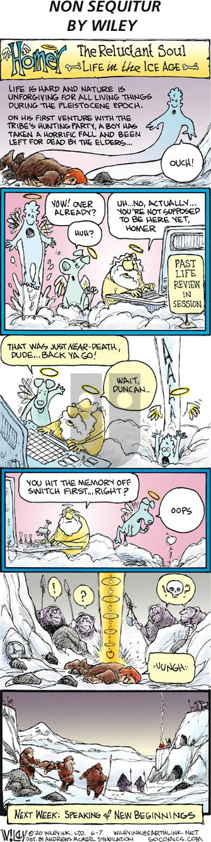 Non Sequitur on Sunday June 7, 2020 Comic Strip