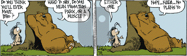 The Grizzwells on Tuesday July 4, 2017 Comic Strip