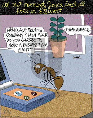 The Flying McCoys - Wednesday August 14, 2024 Comic Strip