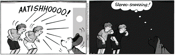 Fred Basset on Wednesday October 26, 2005 Comic Strip