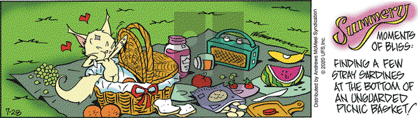 Rose is Rose on Tuesday July 28, 2020 Comic Strip