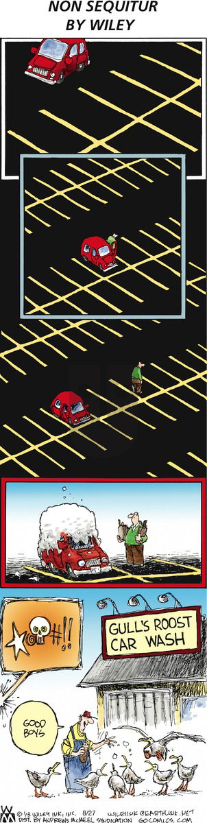 Non Sequitur on Sunday August 27, 2017 Comic Strip