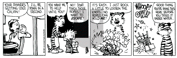Calvin and Hobbes - Tuesday December 1, 1987 Comic Strip