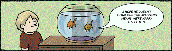 F Minus on Wednesday April 30, 2014 Comic Strip