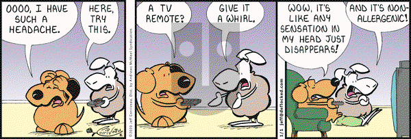 DeFlocked on Wednesday January 1, 2020 Comic Strip