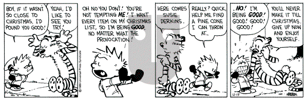 Calvin and Hobbes on Friday December 15, 1989 Comic Strip